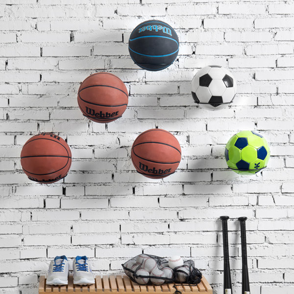 Rebrilliant 6 Piece Wall Mounted Sports Rack Wayfair